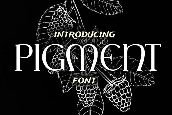 Pigment Font Review: A Stylish Serif for Creative Branding