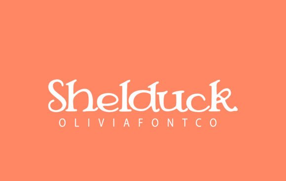 Shelduck Font: A Serif Typeface That Elevates Campaign Design